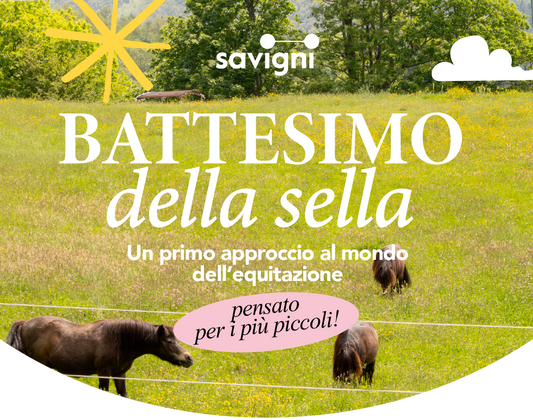 IL BATTESIMO DELLA SELLA ALLA FATTORIA BONARIA: L'EMOZIONE DELLA PRIMA VOLTA A CAVALLO